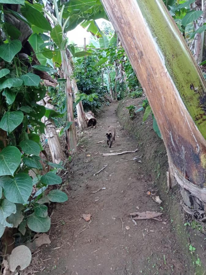 Alojamiento Rural Jardin Consentido Ngoại thất bức ảnh