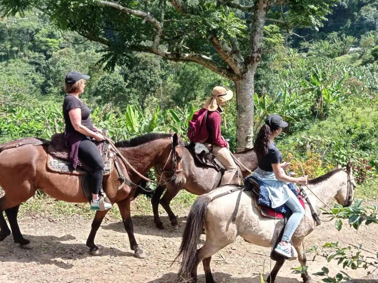 Alojamiento Rural Jardin Consentido Ngoại thất bức ảnh
