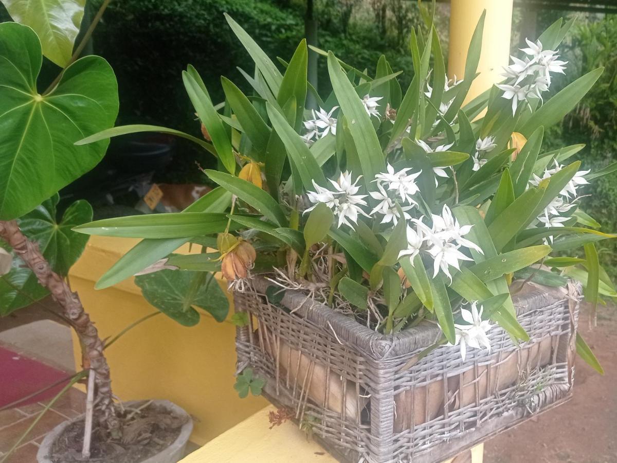 Alojamiento Rural Jardin Consentido Ngoại thất bức ảnh