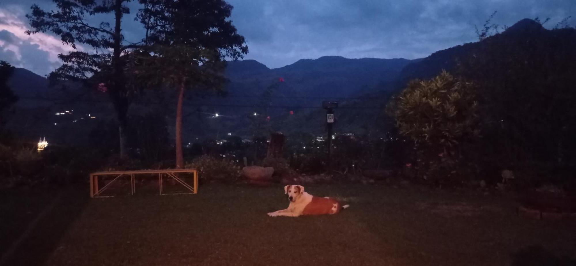 Alojamiento Rural Jardin Consentido Ngoại thất bức ảnh