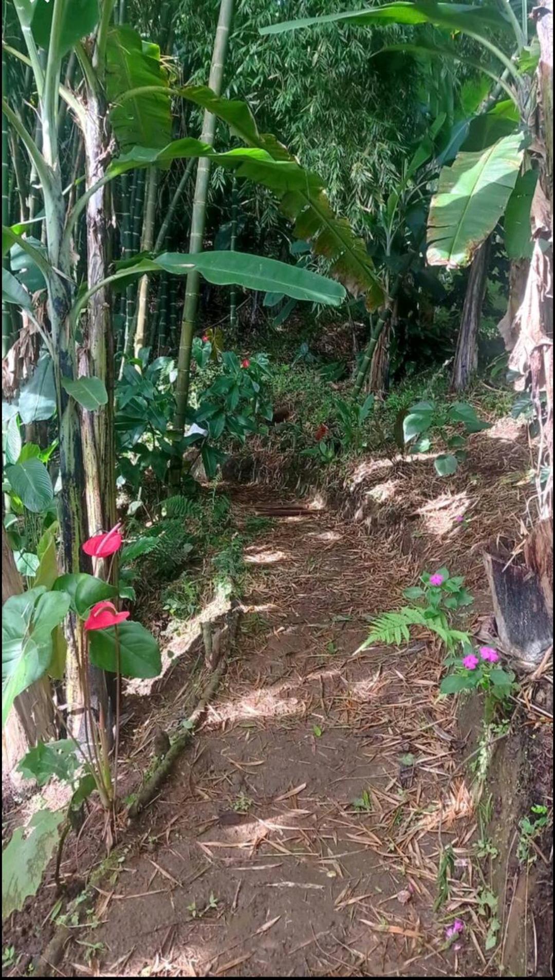 Alojamiento Rural Jardin Consentido Ngoại thất bức ảnh