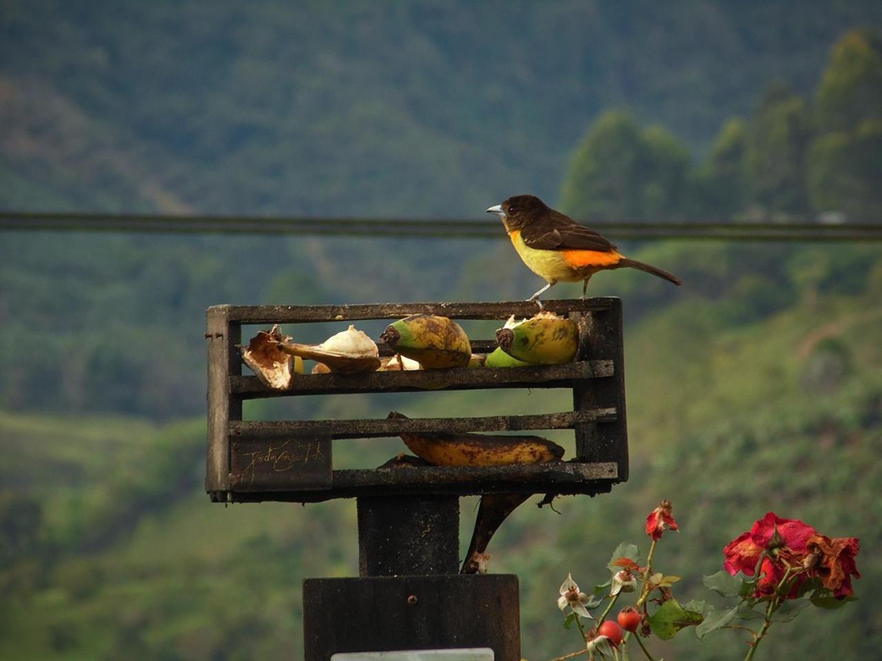 Alojamiento Rural Jardin Consentido Ngoại thất bức ảnh