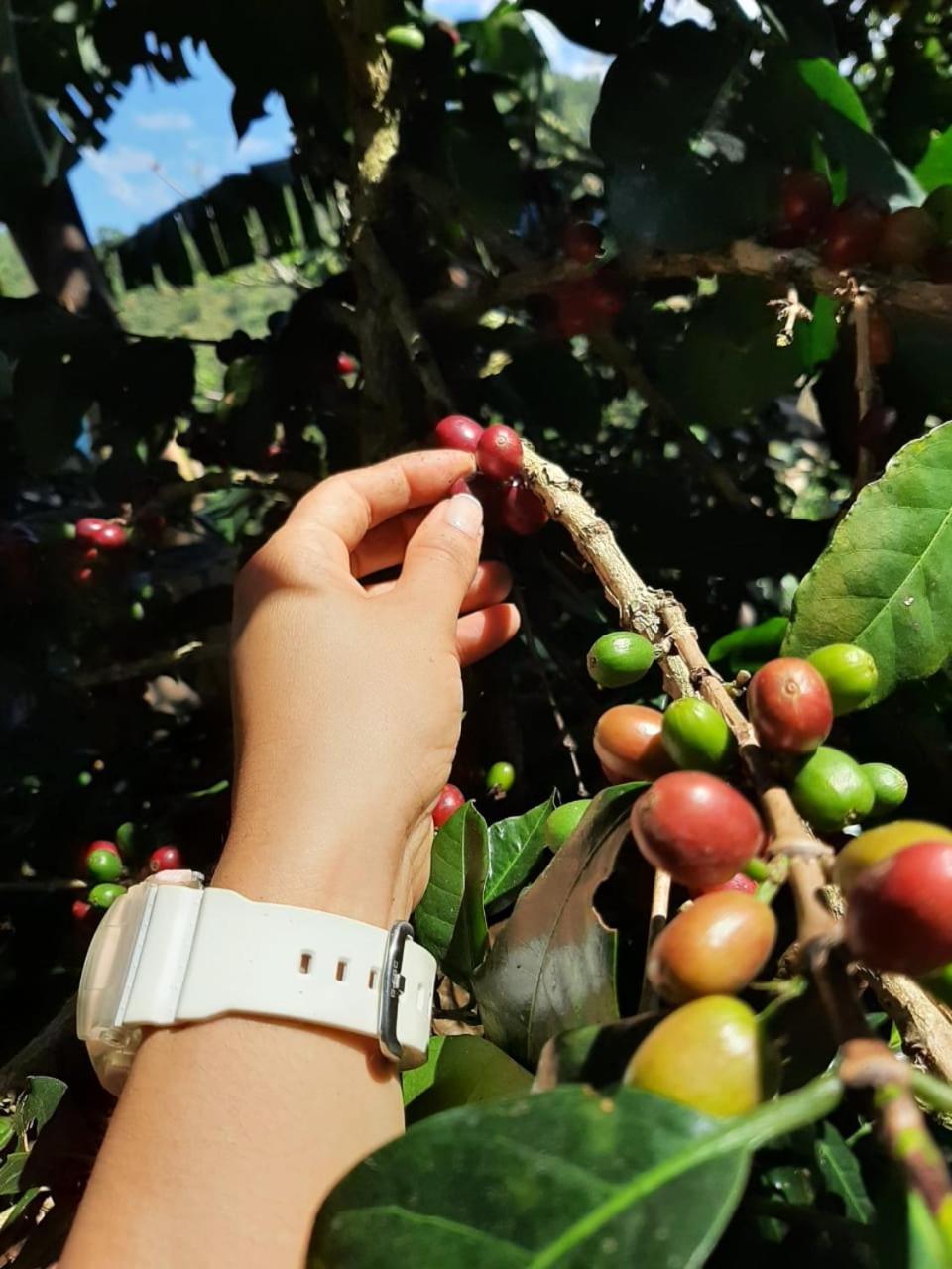 Alojamiento Rural Jardin Consentido Ngoại thất bức ảnh