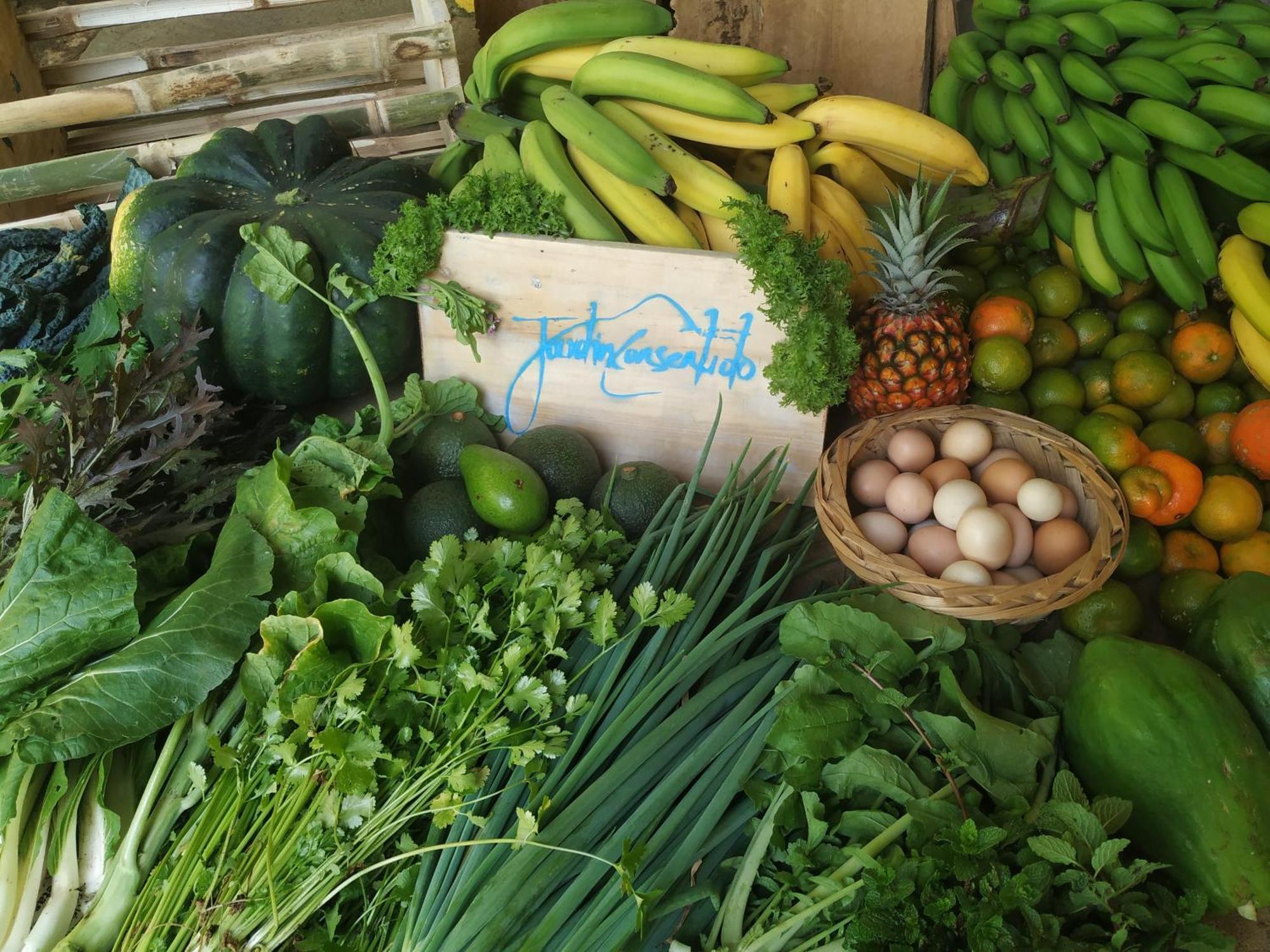 Alojamiento Rural Jardin Consentido Ngoại thất bức ảnh
