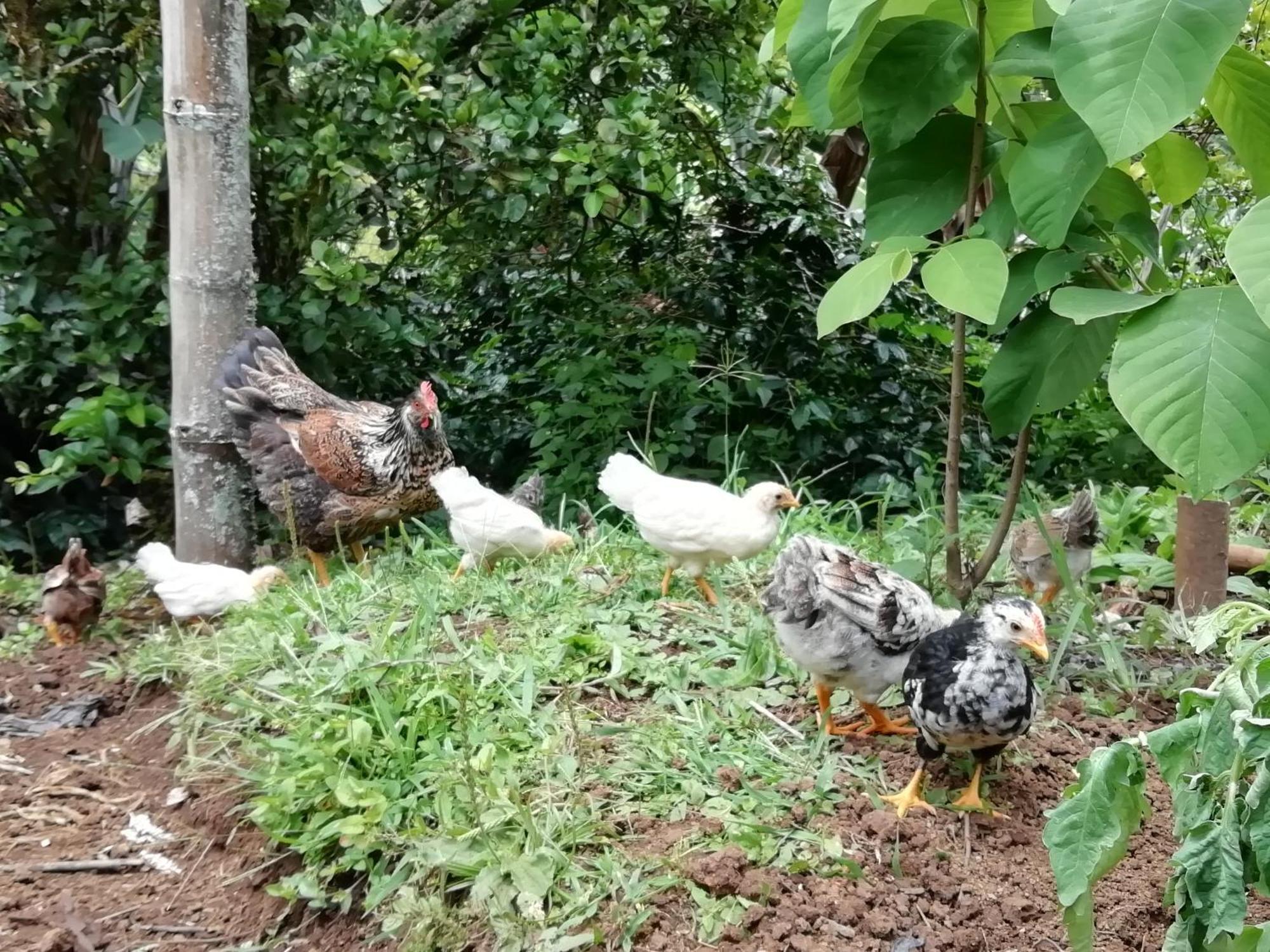 Alojamiento Rural Jardin Consentido Ngoại thất bức ảnh