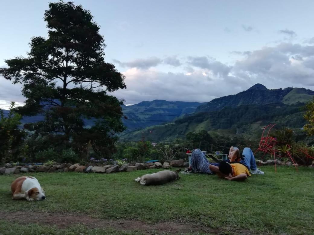 Alojamiento Rural Jardin Consentido Ngoại thất bức ảnh