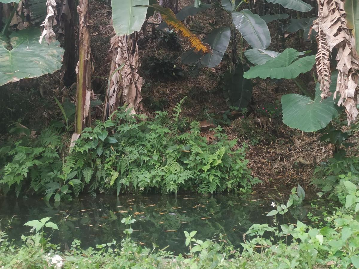 Alojamiento Rural Jardin Consentido Ngoại thất bức ảnh