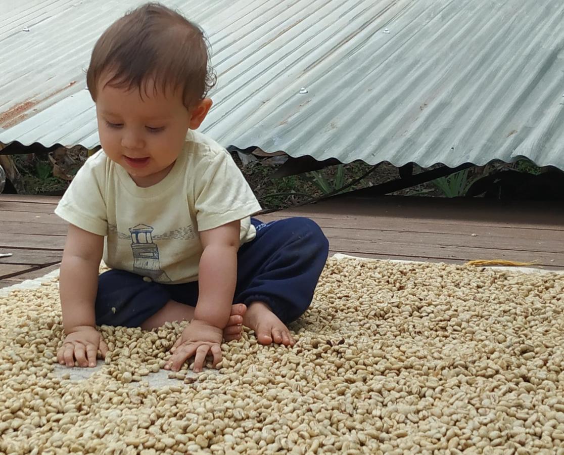 Alojamiento Rural Jardin Consentido Ngoại thất bức ảnh